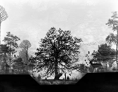 celton deviantart|Celton Gerilla on Behance.